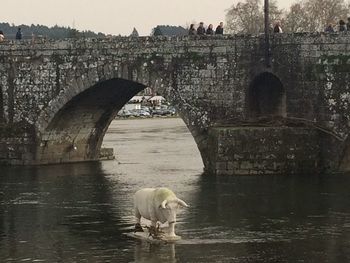 Built structure in water