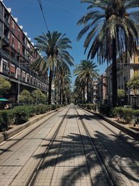 Palm trees by footpath in city against sky