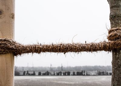 Wet field against clear sky