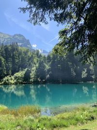 Scenic view of lake by trees against sky