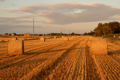 Scenic view of agricultural field against sky during sunset