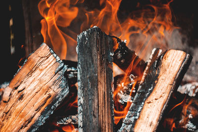 Close-up of firewood burning at night