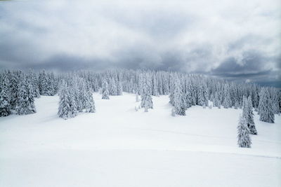 Snow covered landscape against sky