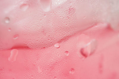 Close-up of water drops on pink flowering plant