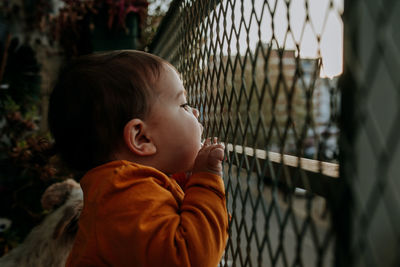 Side view of cute boy looking through fence