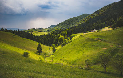 Scenic view of landscape against sky