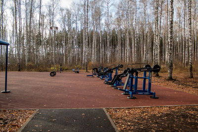 Empty footpath amidst trees in forest
