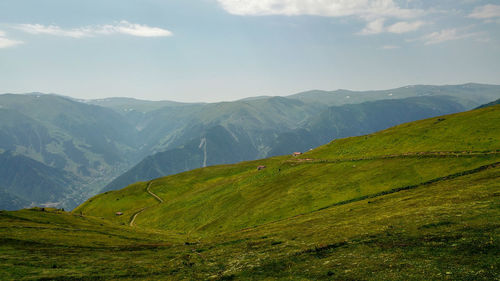 Mountain landscape with green grass / turkey / trabzon