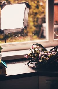 Potted plant on window sill