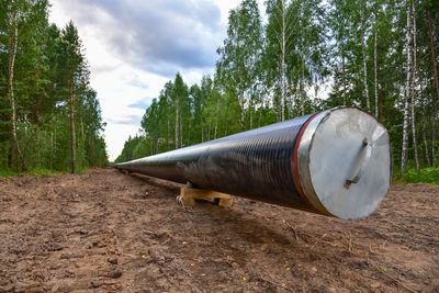 Natural gas pipeline construction work in forest area. installation of gas and crude oil pipes. pipe