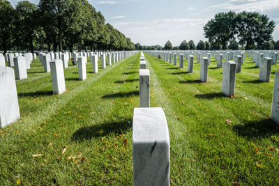 Panoramic view of cemetery