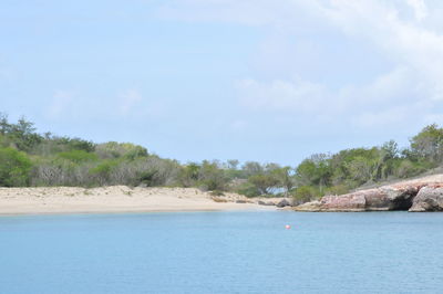 Scenic view of sea and trees against sky