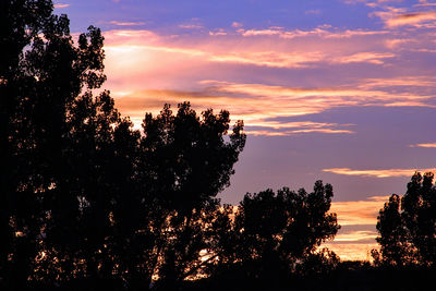 Silhouette trees against sky during sunset