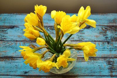 Close-up of yellow flowers