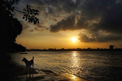 Sunset beauty of kolkata. landscape view of golden hour during sunset in kolkata, india.