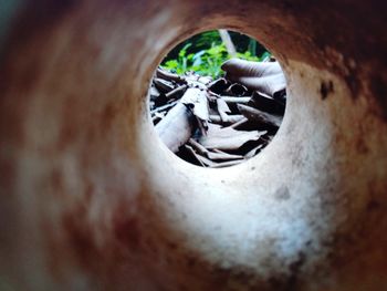 Close-up of hole in container against wall