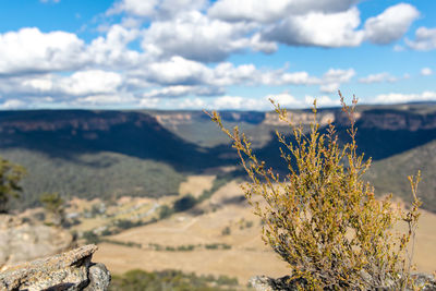 Panoramic view of wolgan valley, blue mountains, nsw, australia. seen from donkey mountain summit.