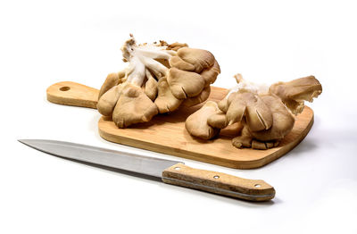 Close-up of mushrooms against white background