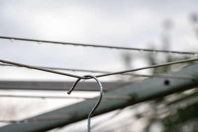 Close-up of raindrops on cable against sky