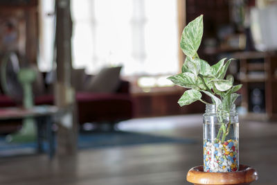 Close-up of glass vase on table at home