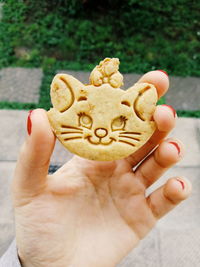 Midsection of person holding cookies