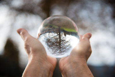 Cropped image of person holding crystal ball with reflection of tree