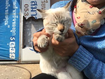 Full length of hand holding cat