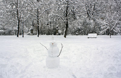 Winter time, a snowman in the park