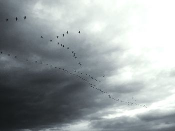 Low angle view of birds flying against cloudy sky