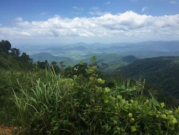 Scenic view of agricultural landscape against sky