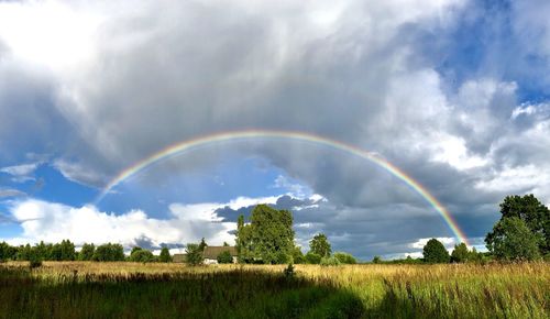 Scenic view of rainbow over trees on field against sky