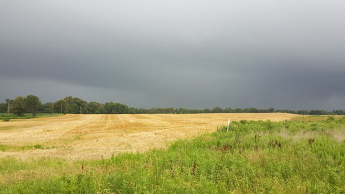 Scenic view of field against sky