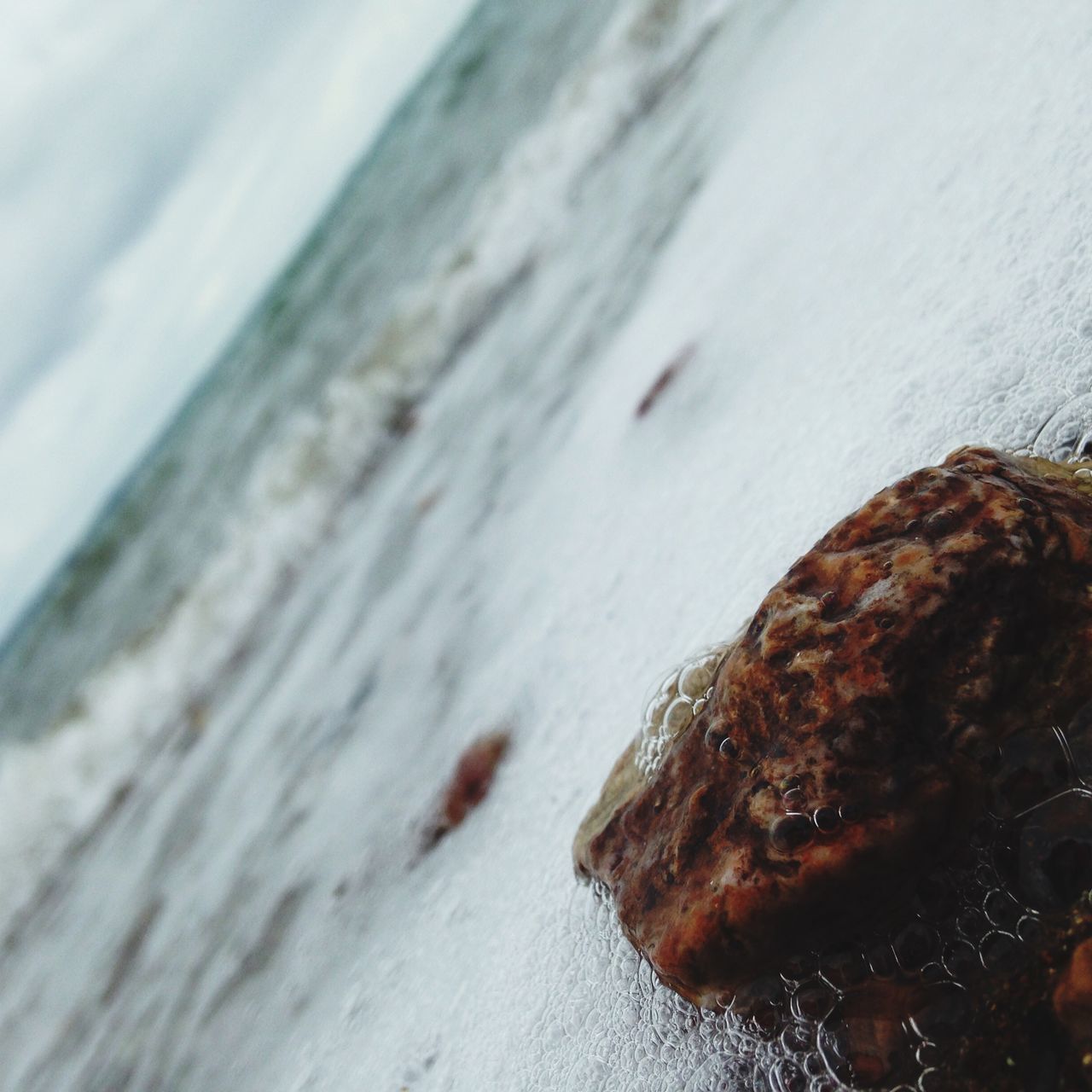 wood - material, textured, close-up, beach, nature, water, wooden, rough, selective focus, outdoors, day, plank, high angle view, no people, wood, rock - object, sea, shore, focus on foreground, tranquility