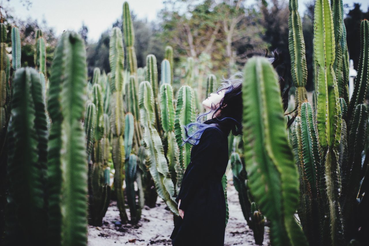 growth, agriculture, plant, nature, green color, farm, abundance, rural scene, close-up, cactus, freshness, crop, field, food and drink, day, focus on foreground, tranquility, outdoors, growing, leaf