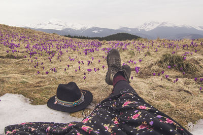 Close up stylish traveler legs on crocus flowers meadow concept photo