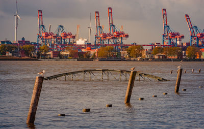 Elbe flood and storm surge at the st. pauli fish market