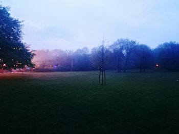 Scenic view of grassy field against sky