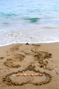Seashells amidst heart shape at beach