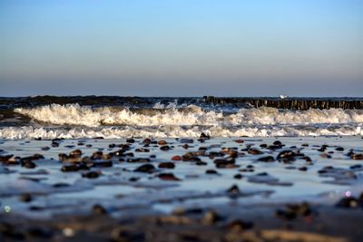 Surface level of beach against sky