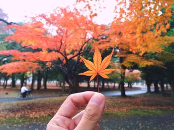 Cropped image of person holding autumn leaves