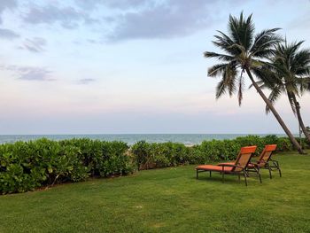 Scenic view of palm trees by sea against sky