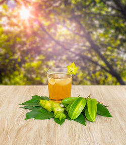 Close-up of drink on table