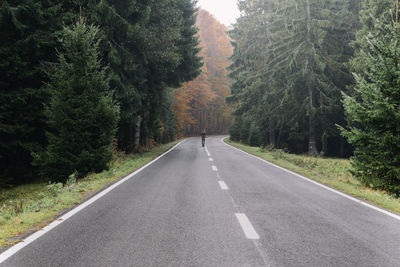 Person standing on road amidst trees