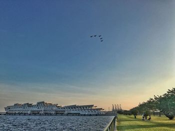 View of birds flying over buildings against blue sky