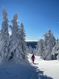 People skiing on snow covered landscape