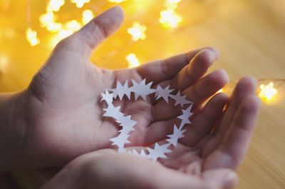 Close-up of person hand holding leaf