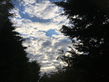 Low angle view of silhouette trees against sky