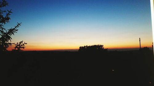 Silhouette trees at sunset