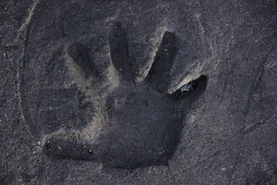 Close-up of hand