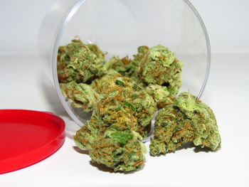 Close-up of vegetables on table against white background